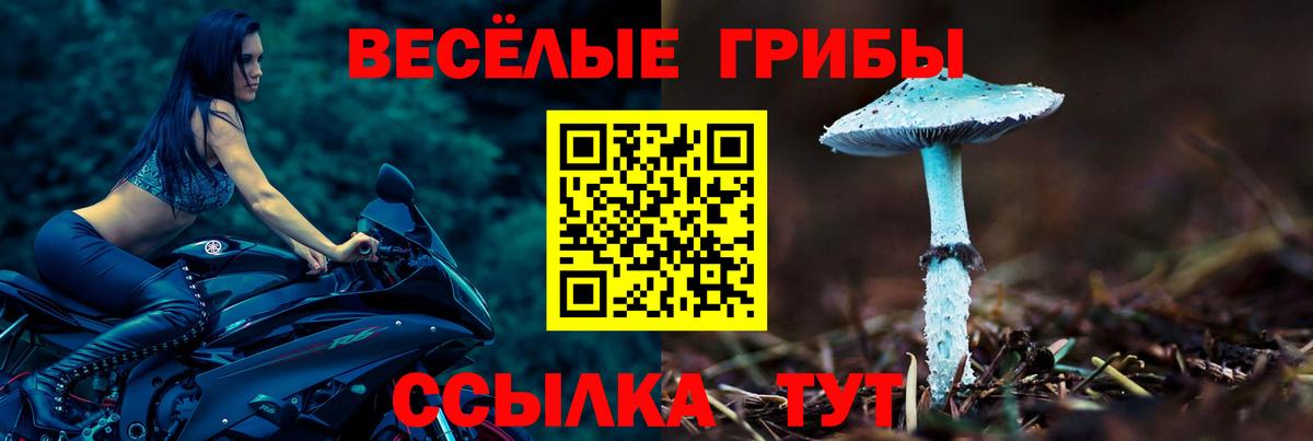Меф МЯУ МЯУ   Кумертау  Канабис  Альфа ПВП СОЛЬ   Вход с VPN  Гашиш 